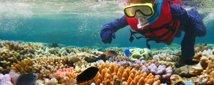 great barrier reef tour