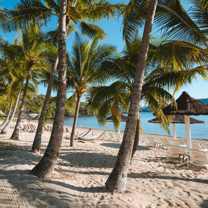 Hamilton island by private jet